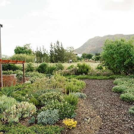 Vineyard Views Country House Riebeek-Kasteel Eksteriør billede