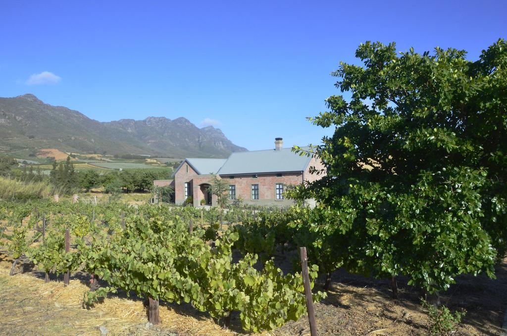 Vineyard Views Country House Riebeek-Kasteel Eksteriør billede