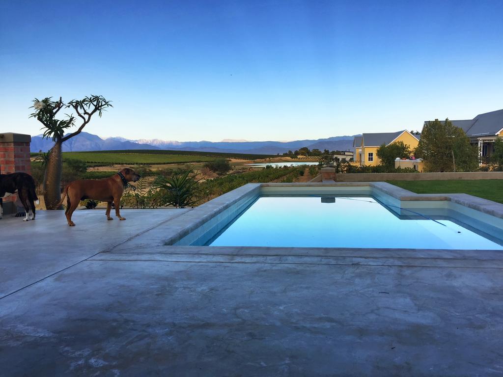 Vineyard Views Country House Riebeek-Kasteel Eksteriør billede