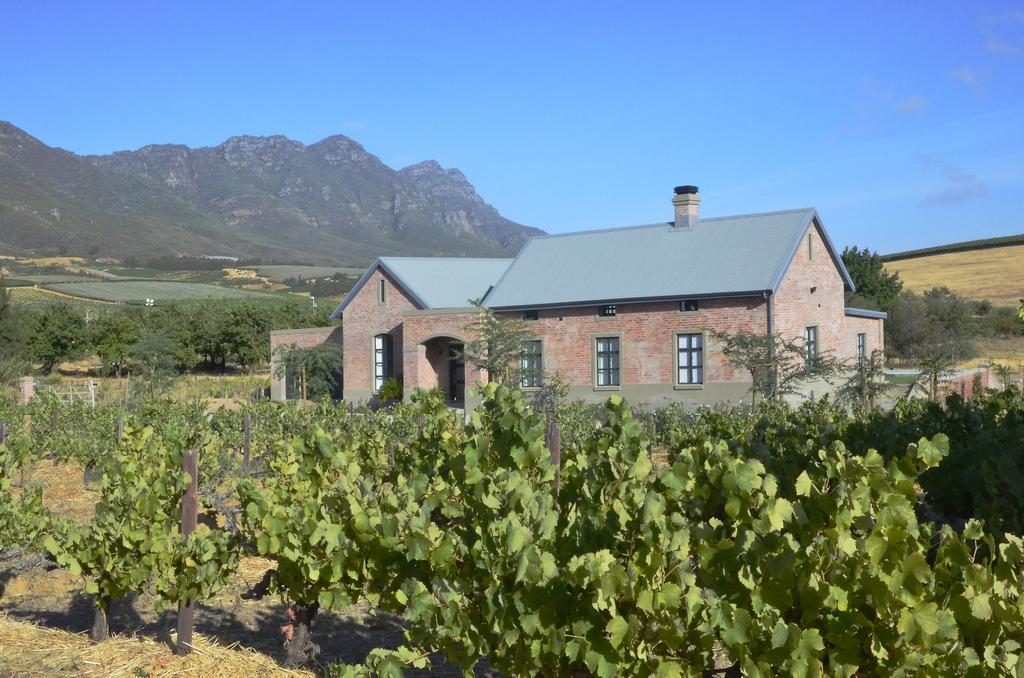Vineyard Views Country House Riebeek-Kasteel Eksteriør billede