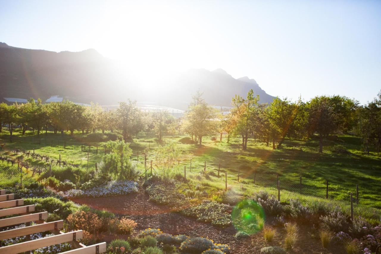 Vineyard Views Country House Riebeek-Kasteel Eksteriør billede