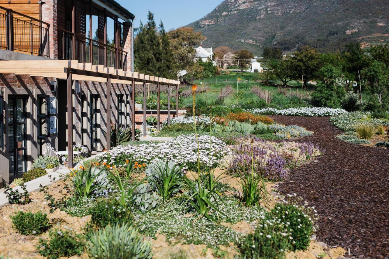 Vineyard Views Country House Riebeek-Kasteel Eksteriør billede