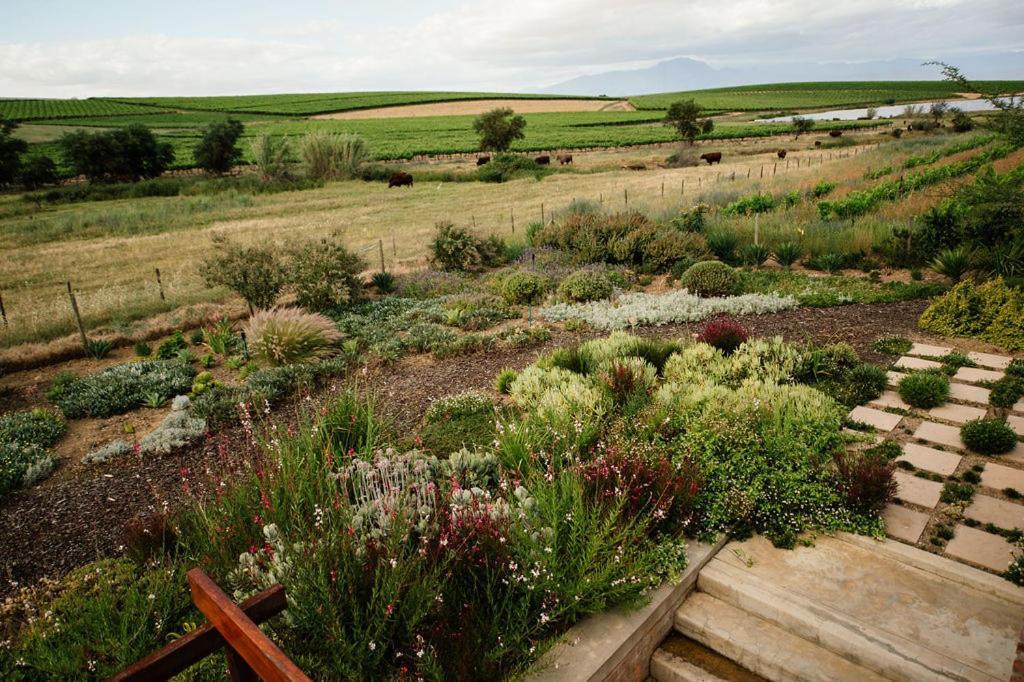 Vineyard Views Country House Riebeek-Kasteel Eksteriør billede