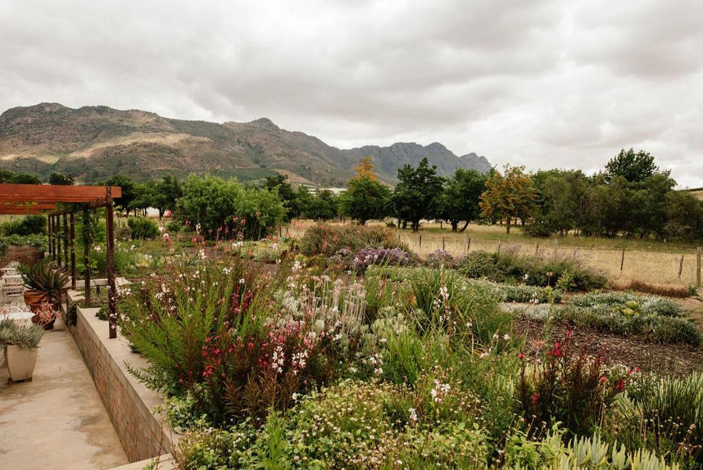 Vineyard Views Country House Riebeek-Kasteel Eksteriør billede
