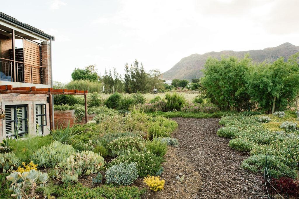 Vineyard Views Country House Riebeek-Kasteel Eksteriør billede