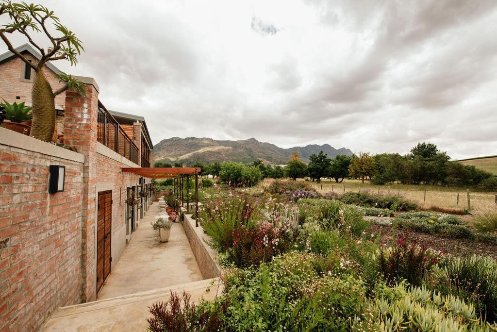 Vineyard Views Country House Riebeek-Kasteel Eksteriør billede