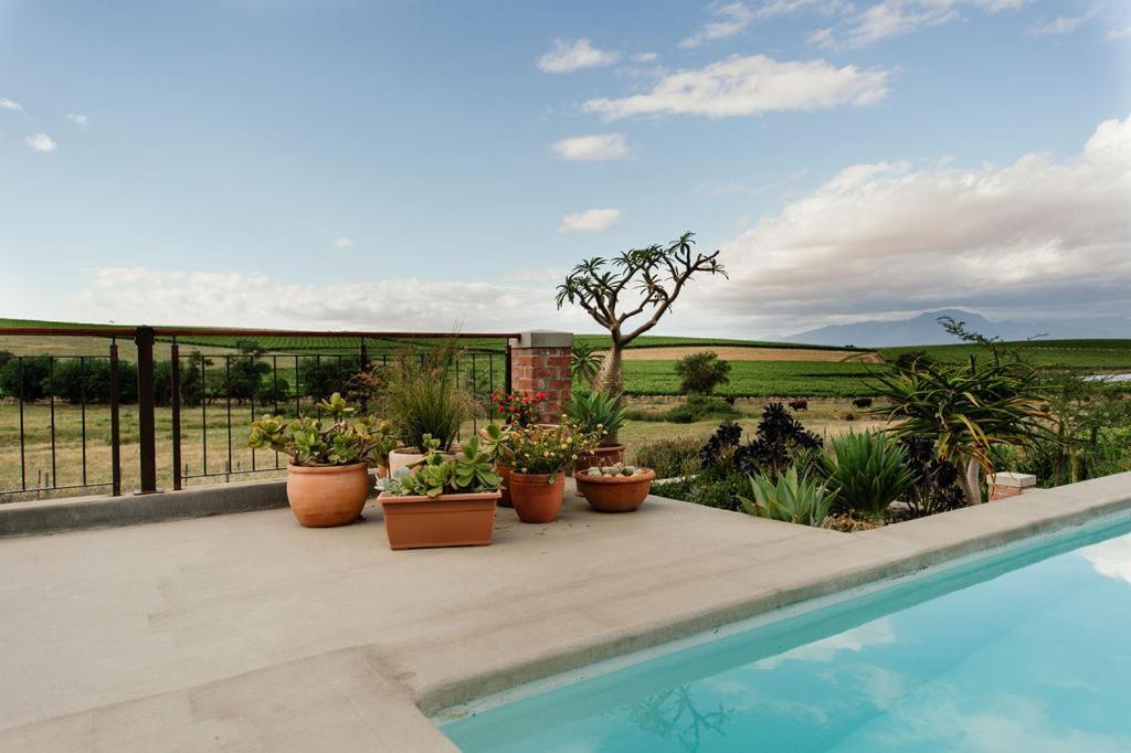 Vineyard Views Country House Riebeek-Kasteel Eksteriør billede